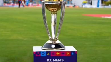 World Cup 2023: Everything You Need To Know For Success