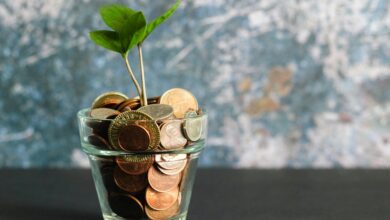 Waarom zzp’ers een buffer moeten opbouwen (en hoe je dat slim doet)